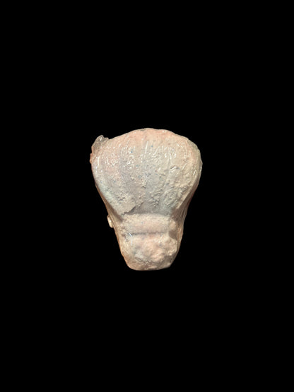 Whoopty Doo Collection